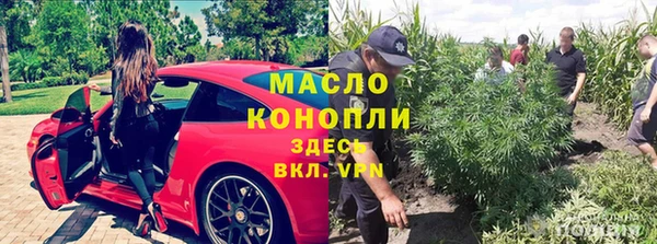 винт Липки