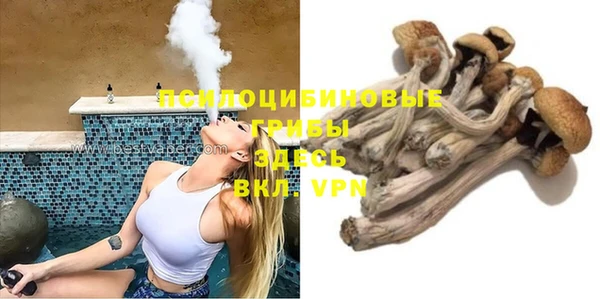 винт Липки