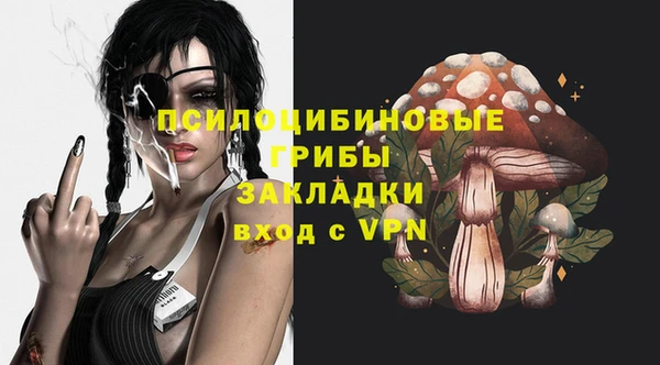 винт Липки