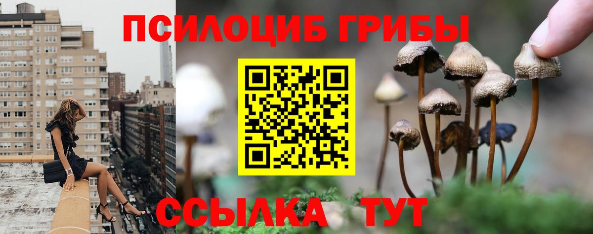 Нижний Новгород  Псилоцибиновые грибы мухоморы  Вход с VPN 