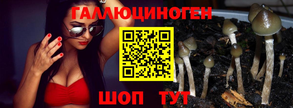 Галлюциногенные грибы прущие грибы Нижний Новгород